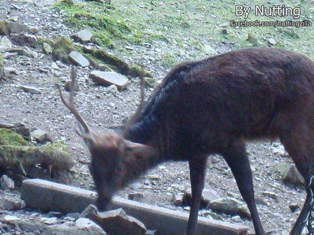 DSC03995.JPG